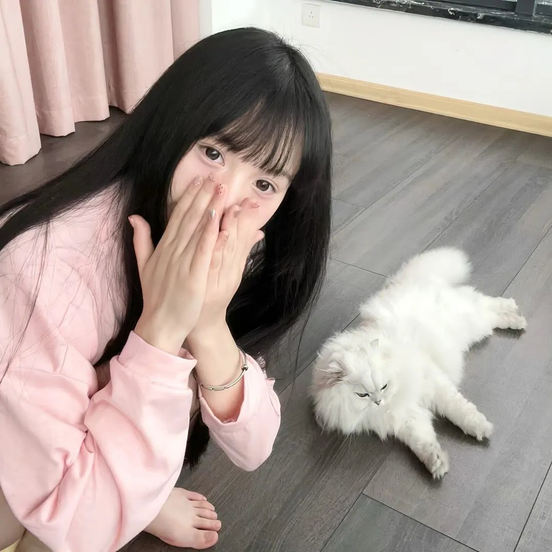 拜拜